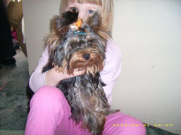 9QtSCpcdWdWAkdGantjfLdzSOiieUaiL38ZfX3RwsBlYaX1Czn11Fis-rYC3SjmMclbFmPw Honýsek s malou paničkou