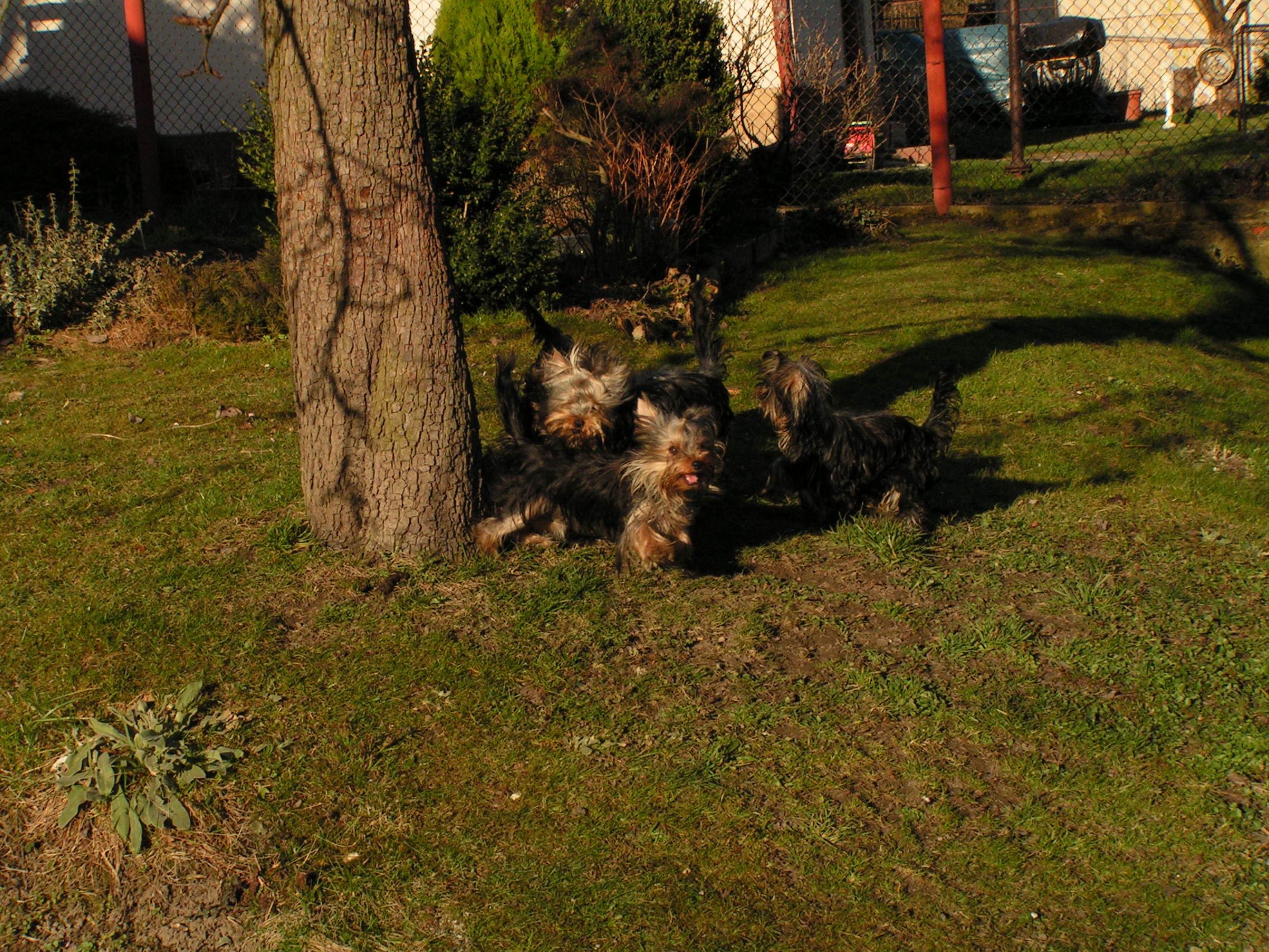 PICT0339